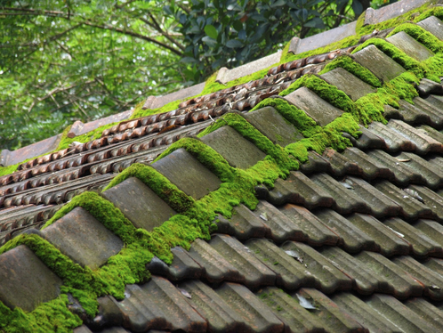 Démoussage de toiture à Lillemer